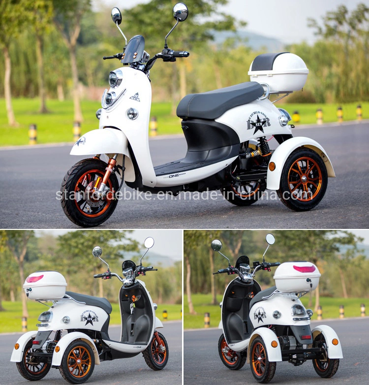 2020 Fat Tire Electric Tricycle Adults and Electric Trike with Lithium Battery