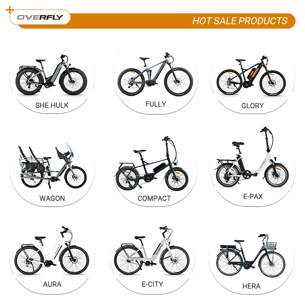 2023 Most Powerful MID Drive Top 500W Electric Bike Lithium Power Bicycle City Electric Bike