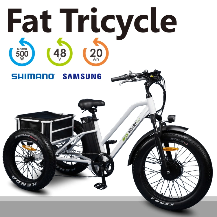 Strong Durable Throttle Type 24"*4.0 Inch Electric Fat Tire Trike