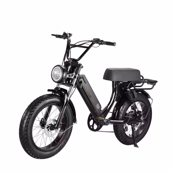 Queene Low Step Through Hidden Lithium Battery Full Suspension Fat Electric Bike Snow Ebike