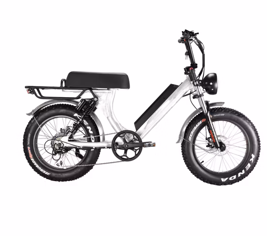 Queene Low Step Through Hidden Lithium Battery Full Suspension Fat Electric Bike Snow Ebike
