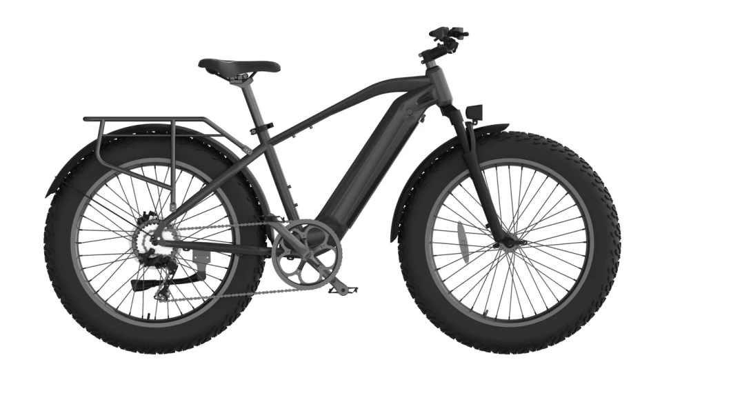 750W 52V Fat Tire Mountain Electric Bike Ebike 5% Discount