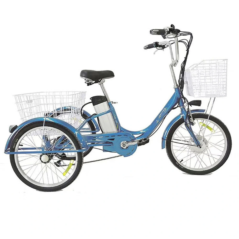 2021 Popualr Fat Tire E Trike Electric Tricycleelectric Trike Cargoztr Trike Electric Trike Electric Electric Trike Adult Electric Mop