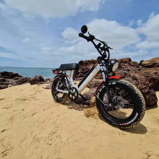Queene Low Step Through Hidden Lithium Battery Full Suspension Fat Electric Bike Snow Ebike