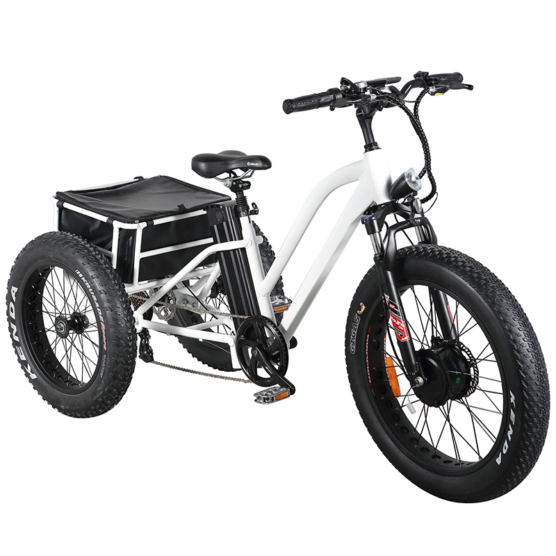 Strong Durable Throttle Type 24"*4.0 Inch Electric Fat Tire Trike