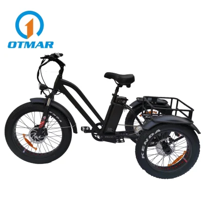 Bicicleta de carga elétrica de 24 polegadas com pneu gordo motocicletas adulto três rodas E Trike OEM vendas diretas da fábrica personalizadas com motor elétrico trike