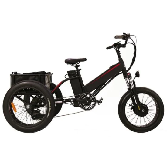 2021 Popularr Fat Tire E Trike Elétrico Triciclo Elétrico Cargoztr Trike Elétrico Trike Elétrico Trike Elétrico Adulto Esfregão Elétrico