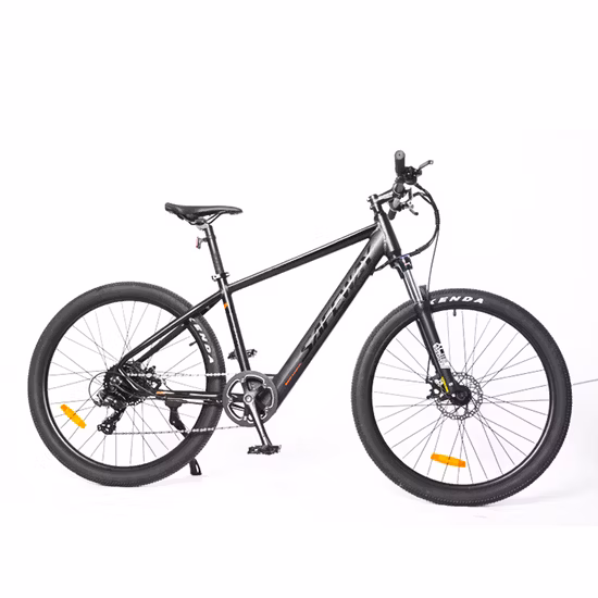 Bicicleta elétrica preço baixo/bicicleta elétrica MTB 29/bicicleta elétrica montanha