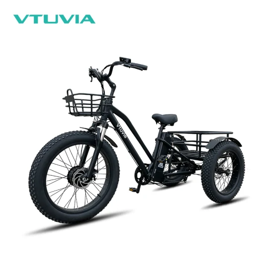 Fat Tire 30-35km/H Electr Trike Front e Rea Basket Food Delivery