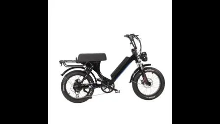 Kcmtb034 Comfort Two Seat 48V/17.5ah City Cruiser 20 Polegada Fat Dual Shock Fork Electric Bike Rental Use 500W Bike Delivery Ebike