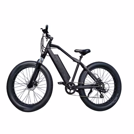 500 W/750 W/1000 W 26 polegadas 100 Nm Shimano 7 velocidades MTB Pneu gordo Mountain Bike elétrico Snow Cruiser E Bike
