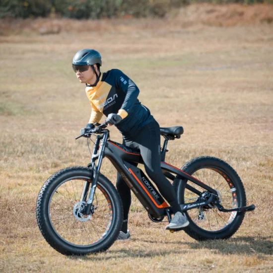 Suporte Transporte direto Design elegante Fibra de carbono Ebike Fat Tire Bicicleta Elétrica Lectrique Elétrica Mountain Bike MTB