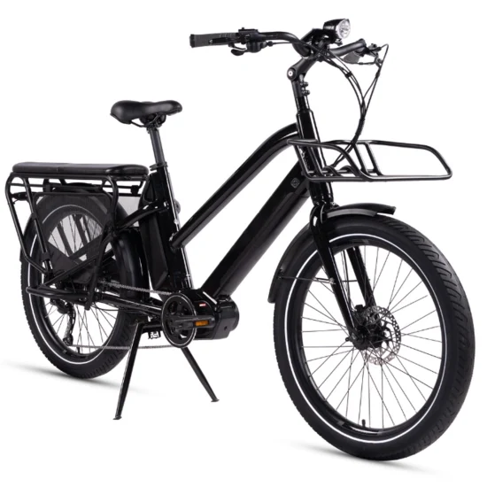 48V/23,2ah Lithium-Ion 4 - 6 horas de carregamento 750W Fat Tire 3 Wheel Cargo dobrável Triciclo elétrico